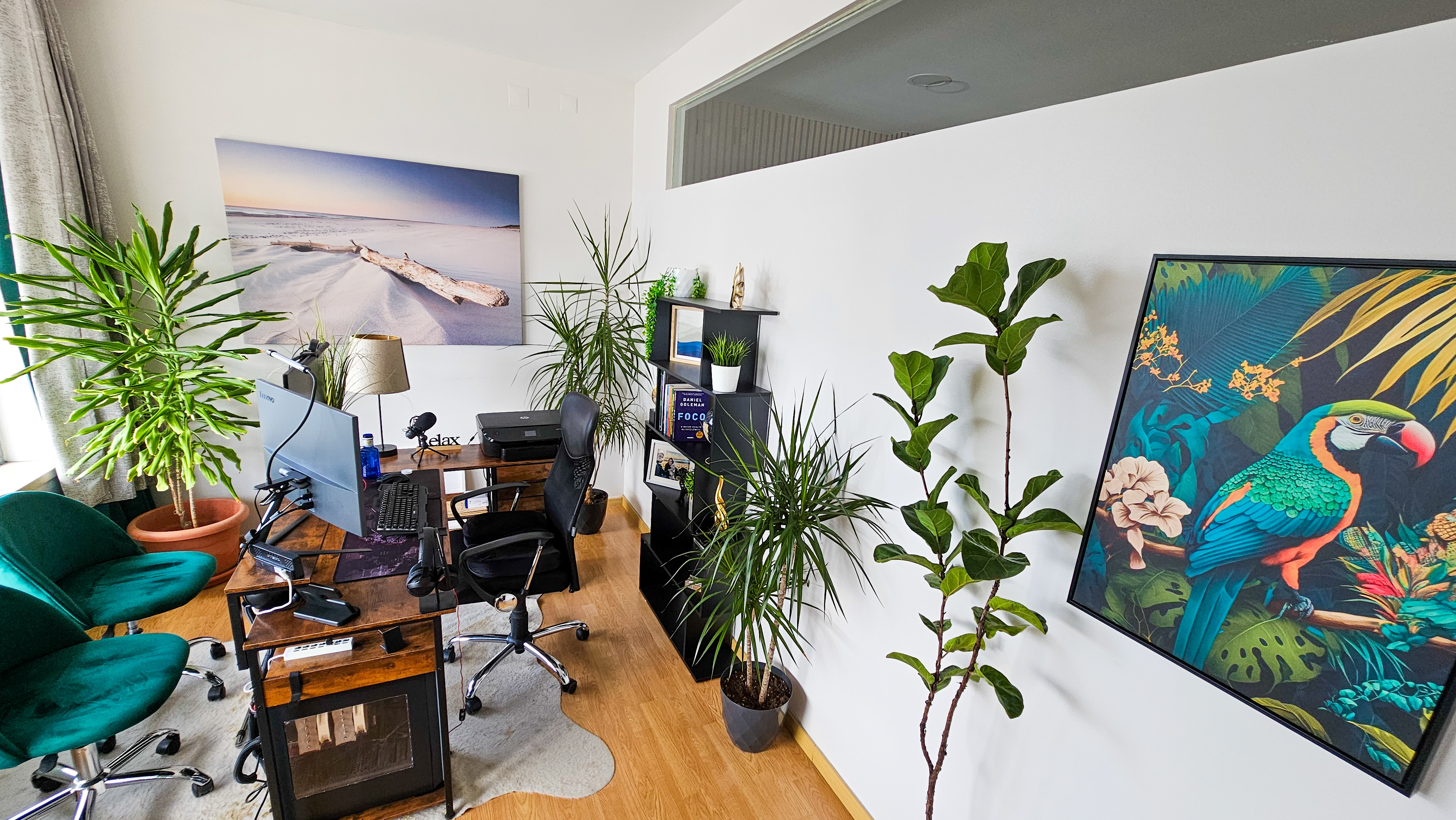 Escritorio privado Coworking Alcobaca - Espaco de trabalho com plantas e decoracao moderna